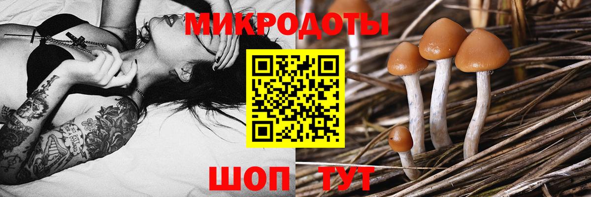 Псилоцибиновые грибы мицелий  Вход с VPN  Домодедово 